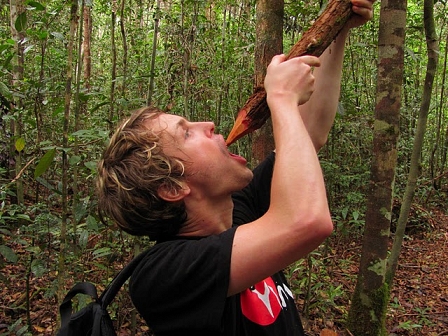 pencil medicine borneo